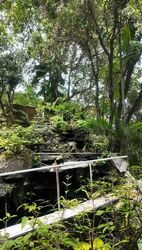 Lorong Siglap (D15), Detached #580204581